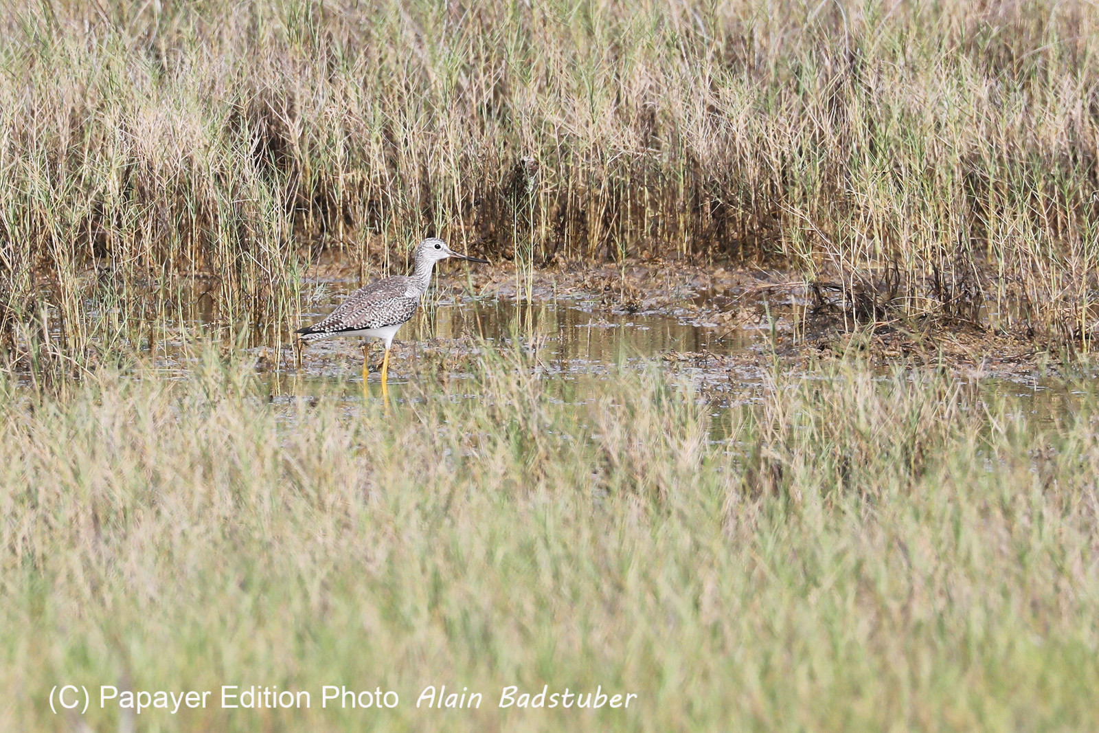 Deuxième séjour à Sarteneja, Bélize, Novembre - Décembre 2021
