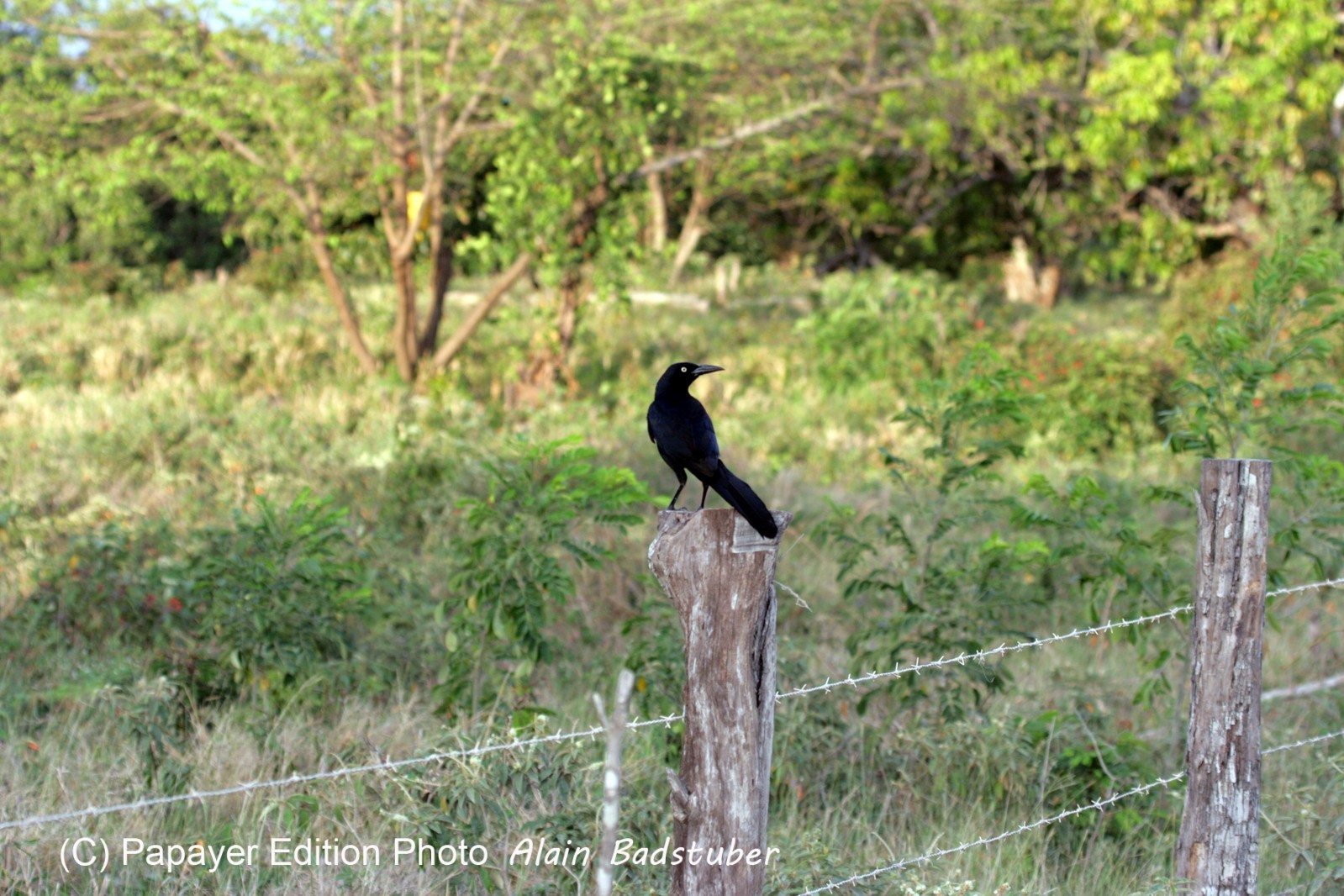 Images_Belize_2011_008