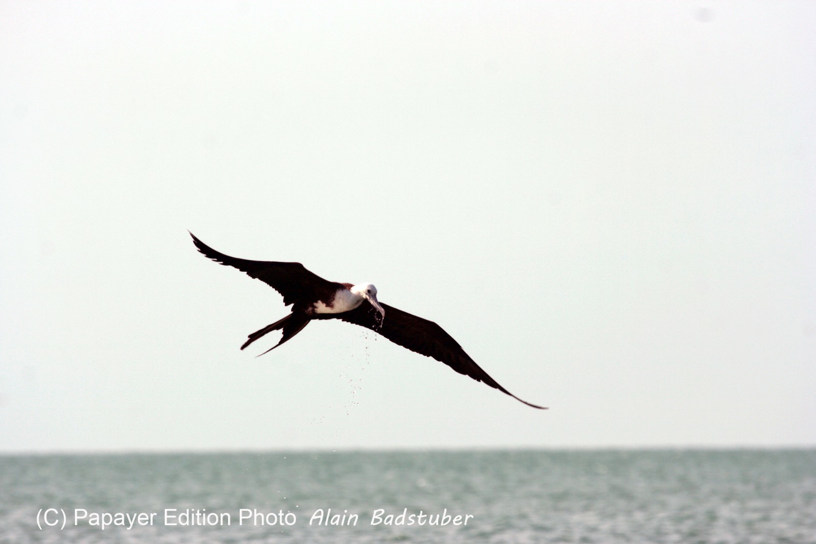 Images_Belize_2011_432