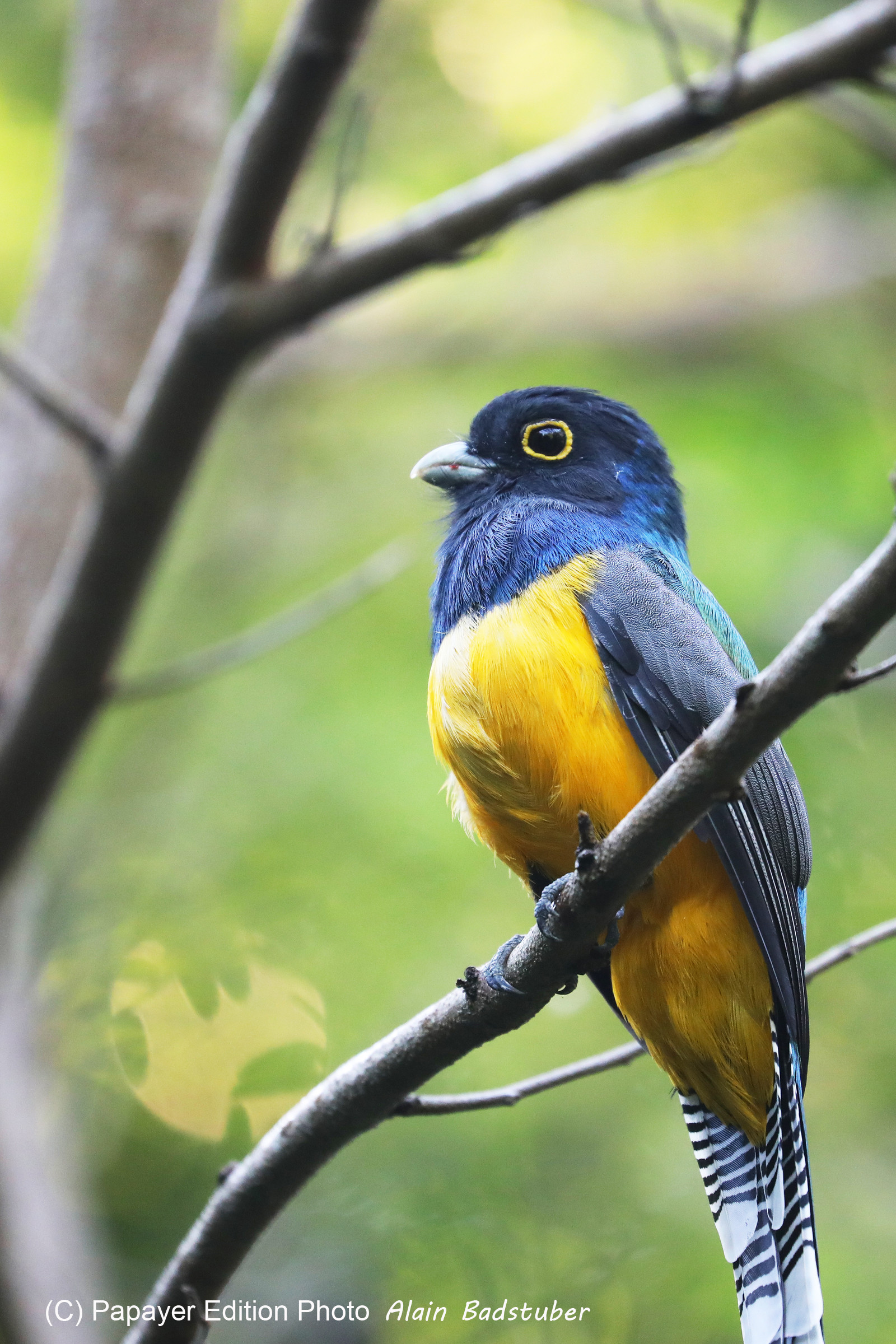 Deuxième séjour à Sarteneja, Bélize, Novembre - Décembre 2021