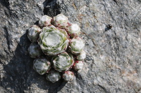 Ballade aux Follatères en mai 2018