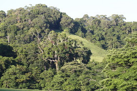 L'Australie à Cow Bay et Cape Tribulation en 2017