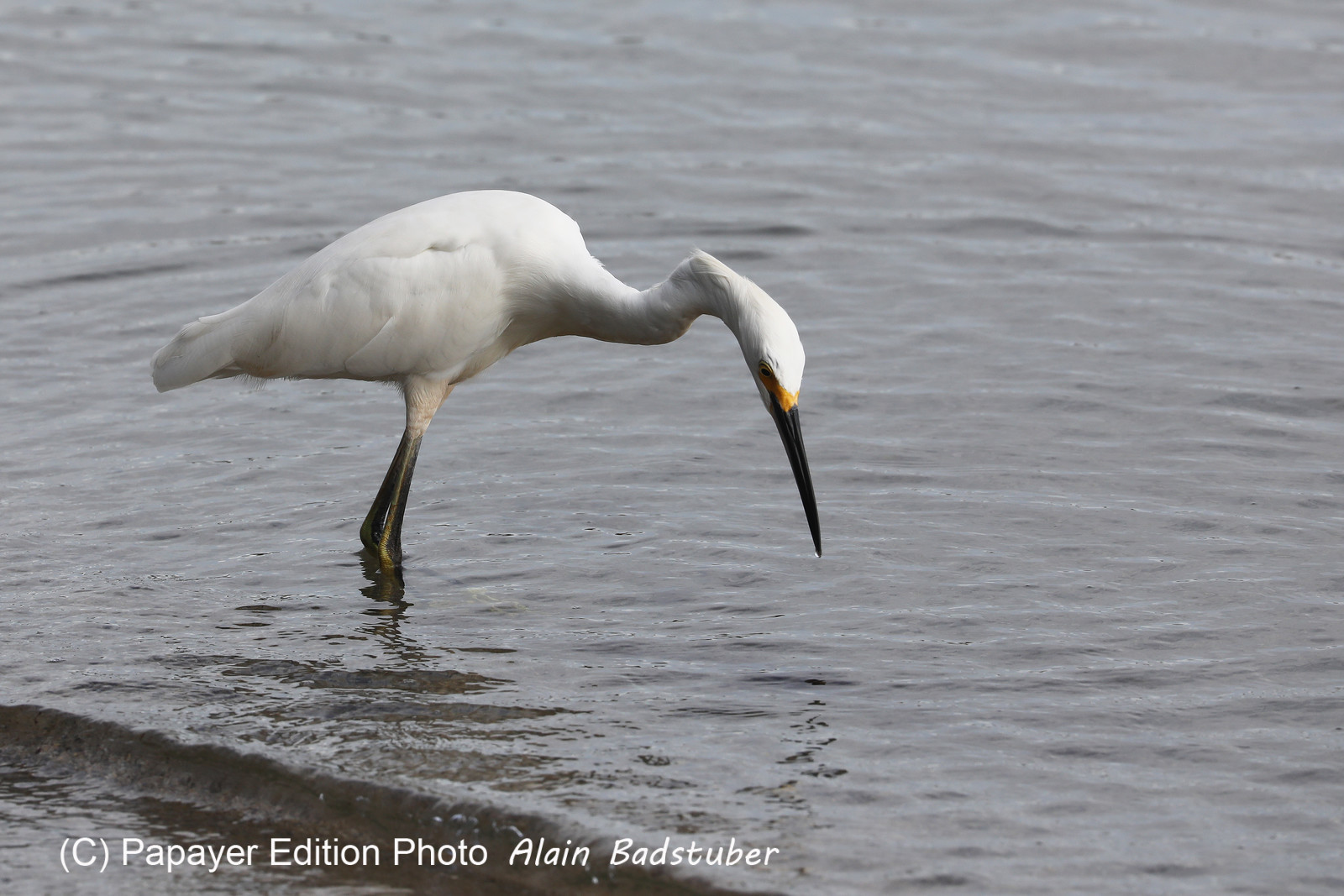 Hopkins, Octobre-Novembre 2021