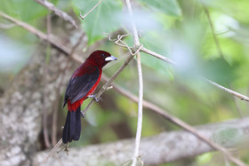 Punta Culebra Nature Center