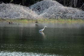 Images_Belize_2011_298