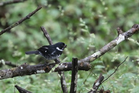 Parque Natural Metropolitano