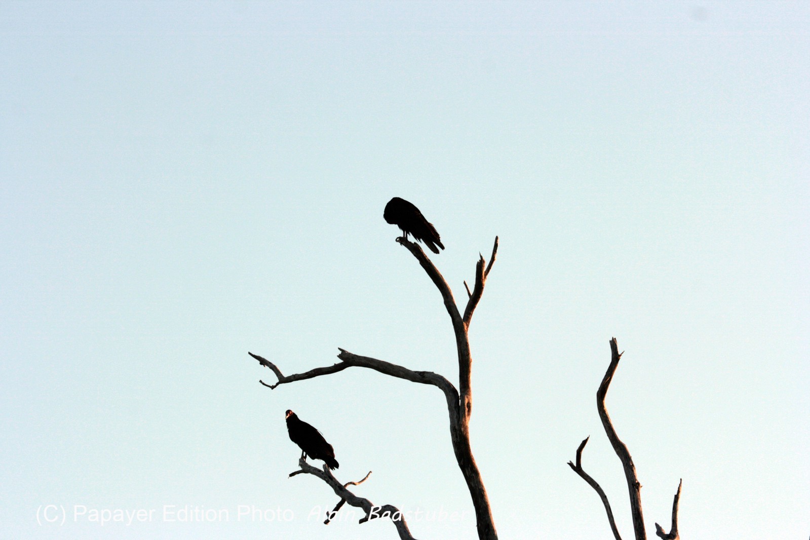 Images_Belize_2011_351