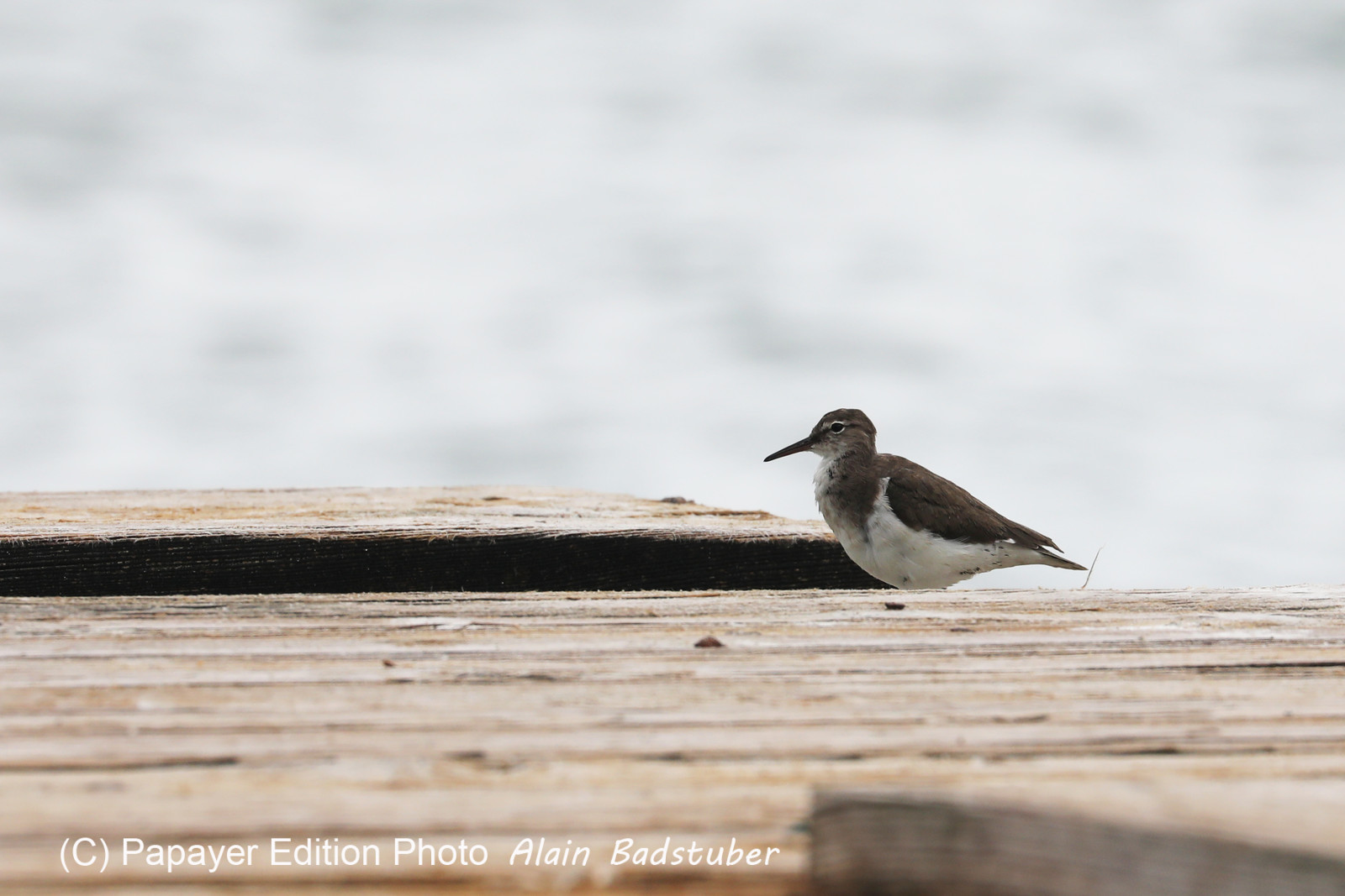 Hopkins, Octobre-Novembre 2021
