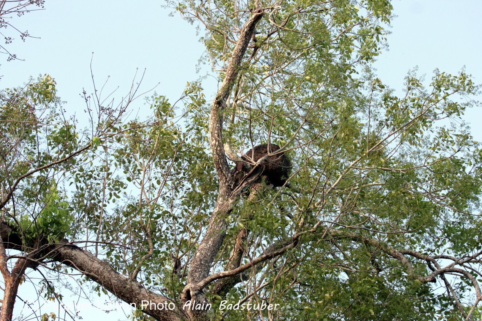 Images_Belize_2011_302
