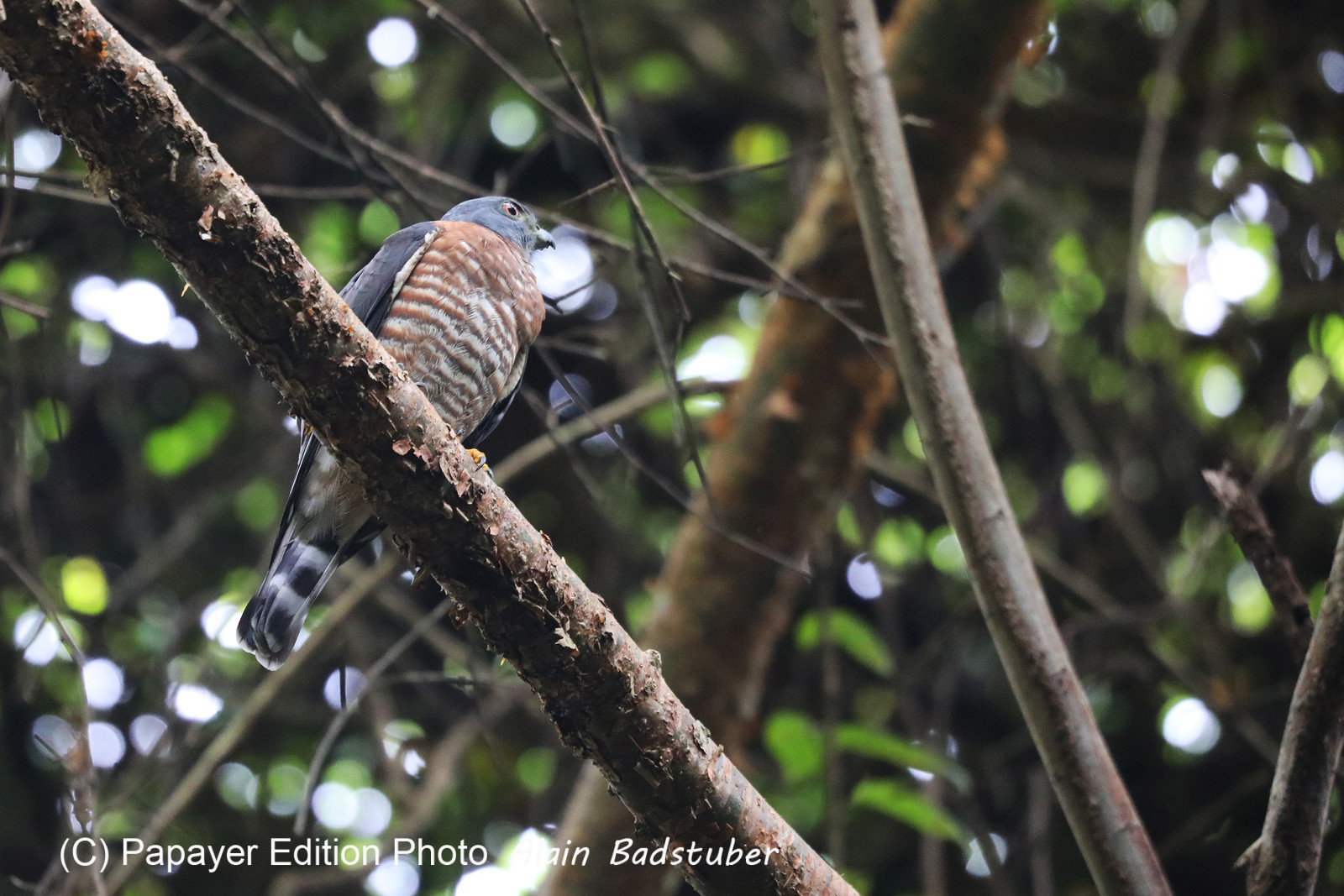 Parque Natural Metropolitano