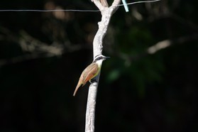 Images_Belize_2011_038