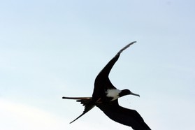 Images_Belize_2011_423