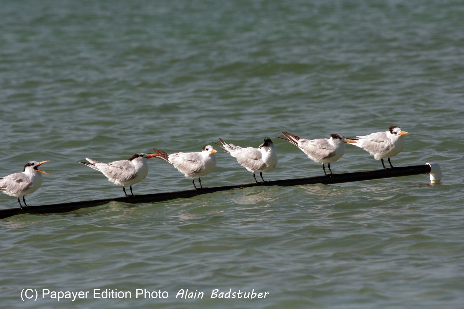 Images_Belize_2011_379