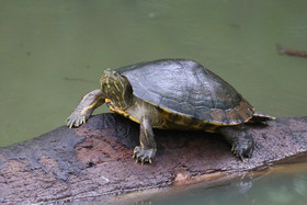 Parque Natural Metropolitano