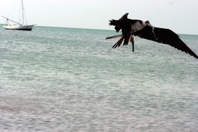 Images_Belize_2011_420