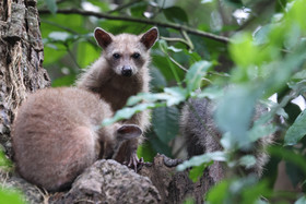 Punta Culebra Nature Center