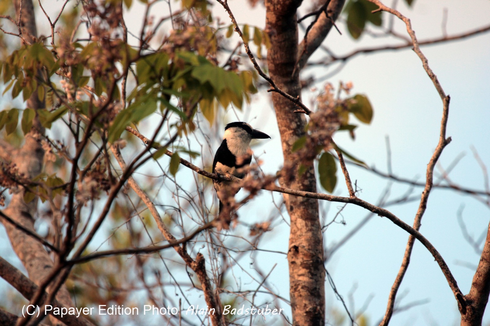 Images_Belize_2011_333