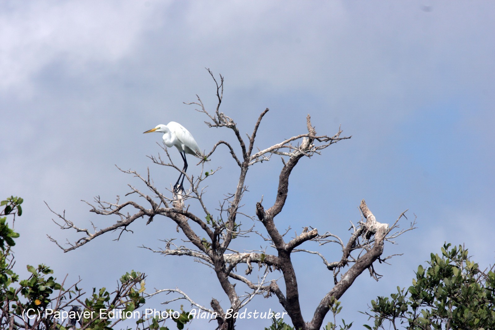 Images_Belize_2011_117