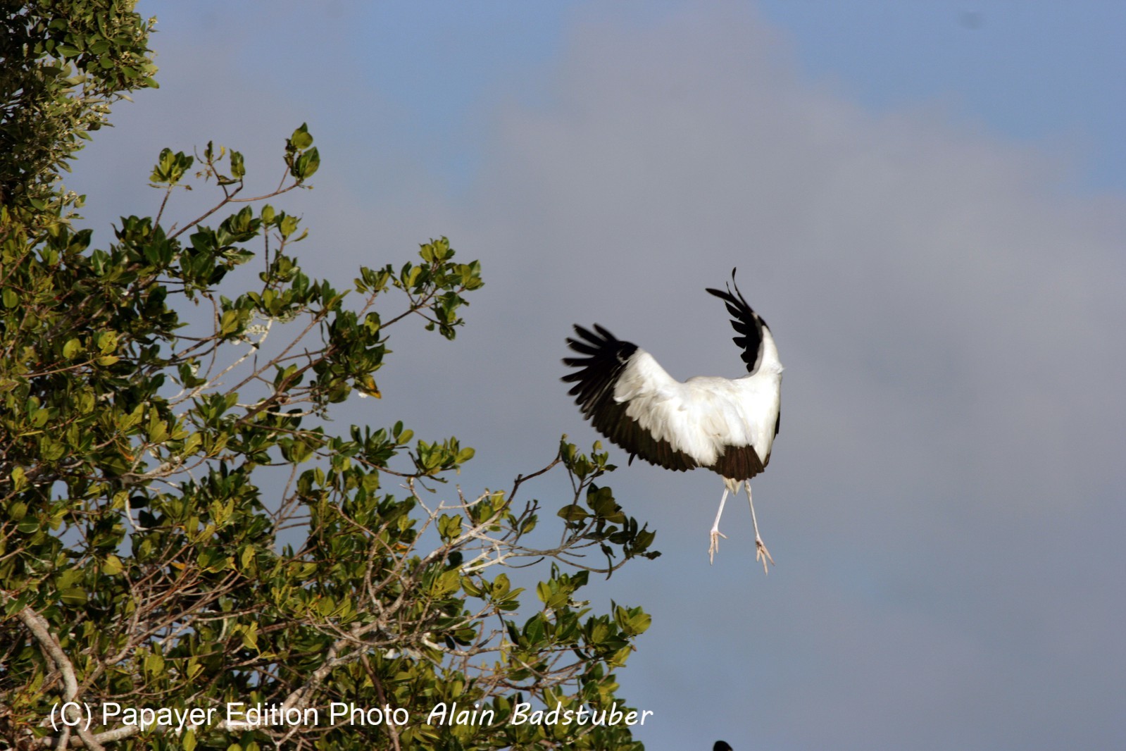 Images_Belize_2011_208