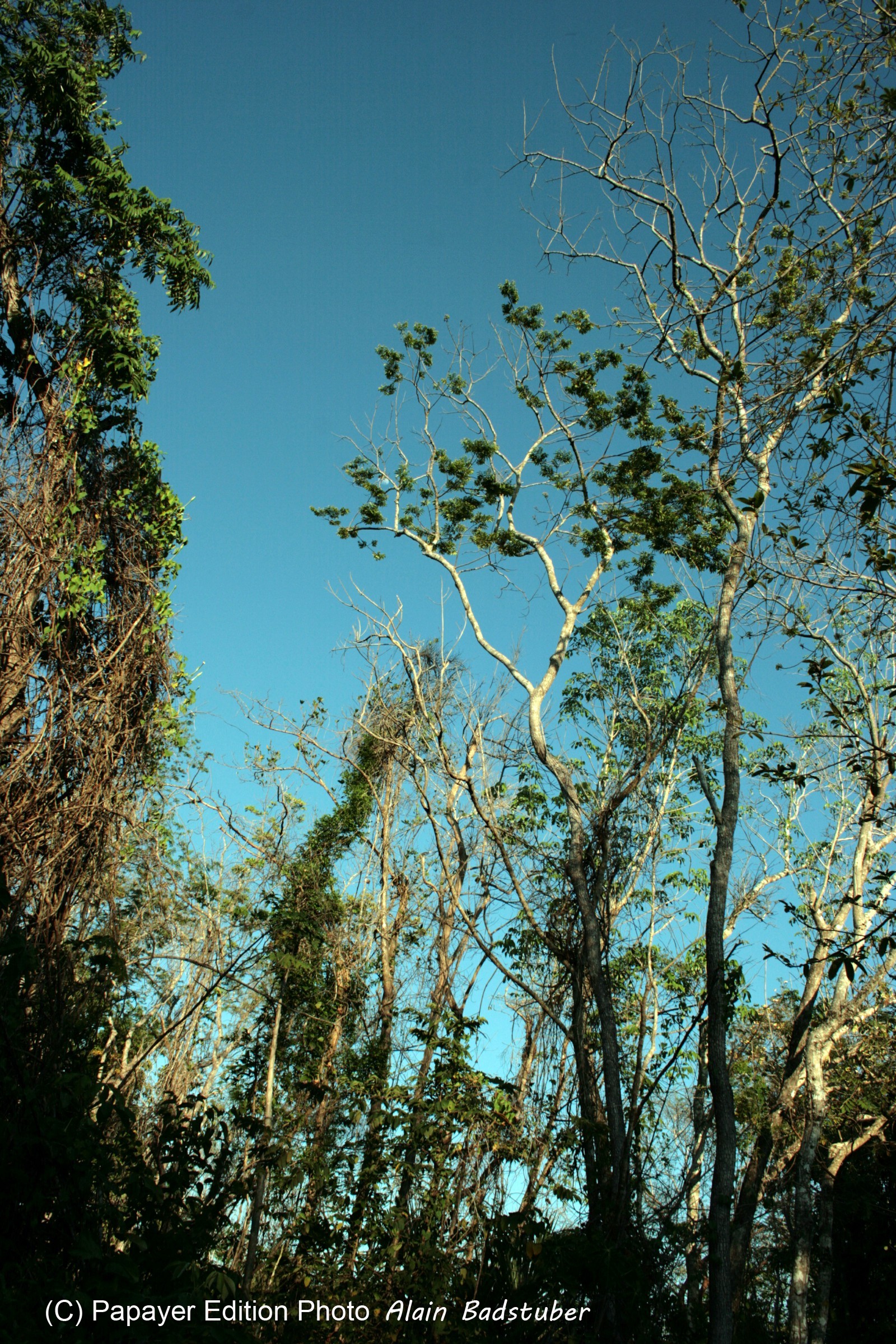 Images_Belize_2011_345