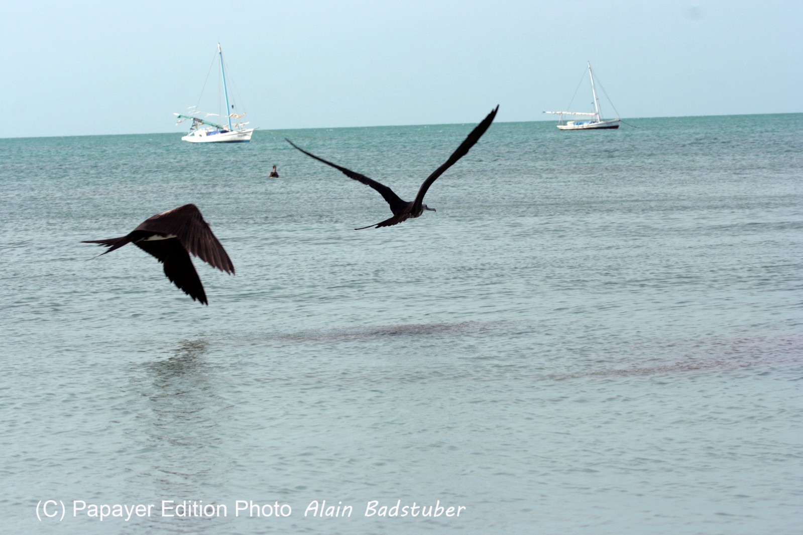 Images_Belize_2011_402