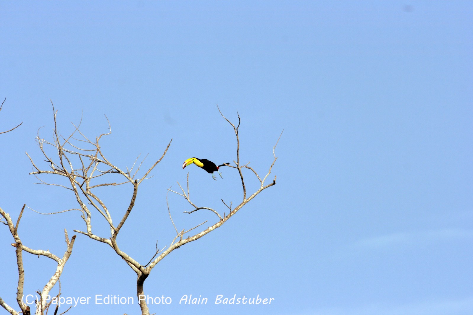 Images_Belize_2011_072