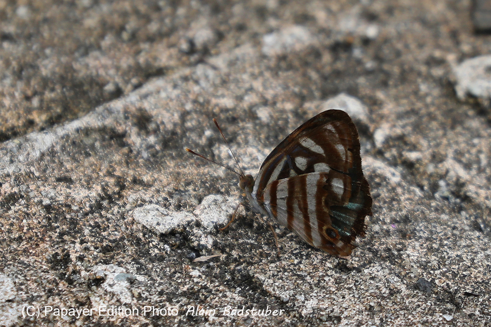Parque Natural Metropolitano