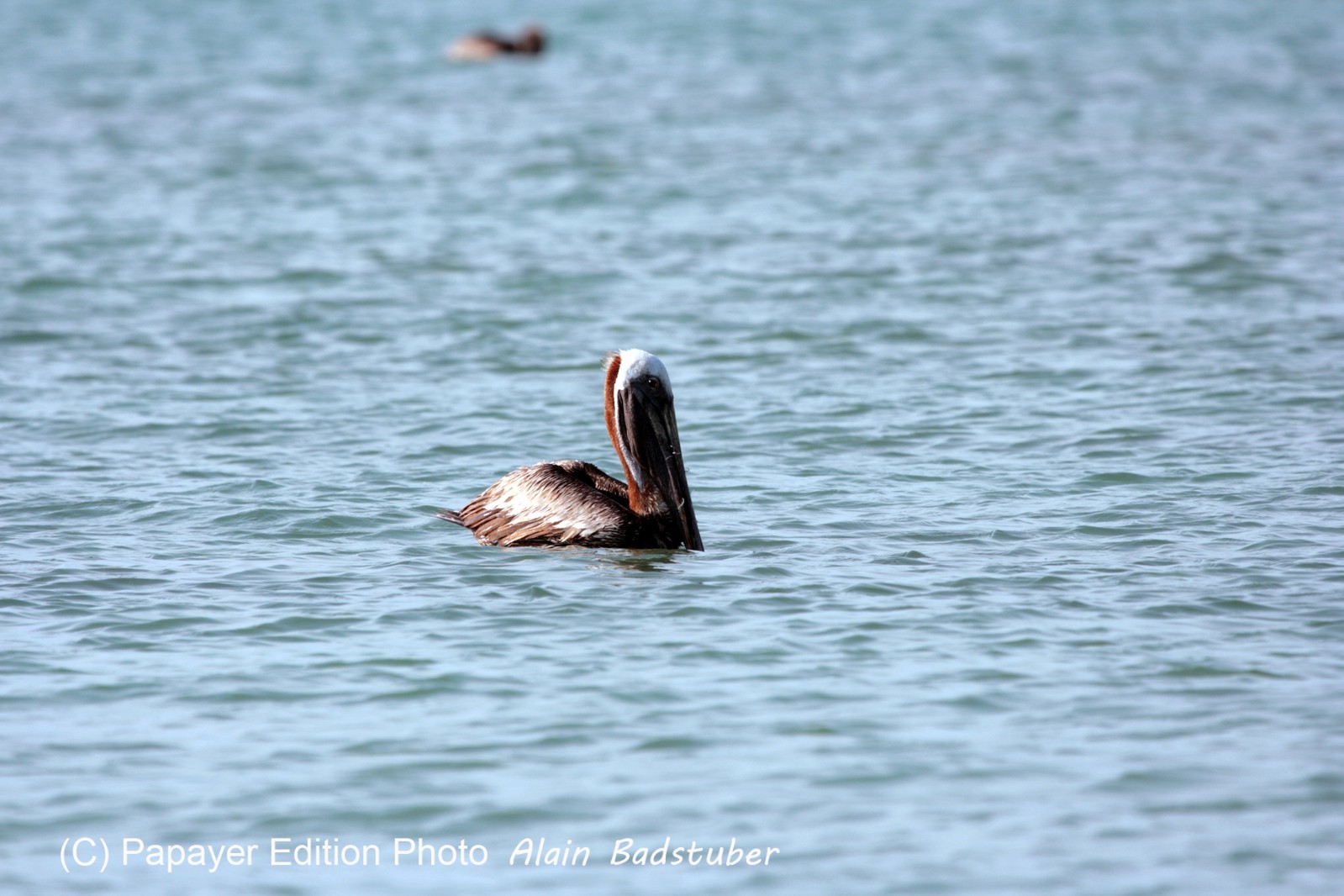 Images_Belize_2011_438