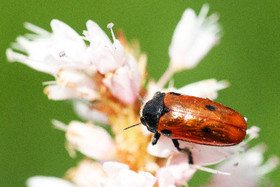 Encore une journée non favorable à la pratique de WingFoil