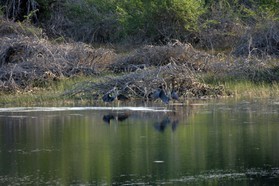 Images_Belize_2011_300