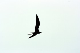 Images_Belize_2011_407