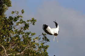 Images_Belize_2011_208