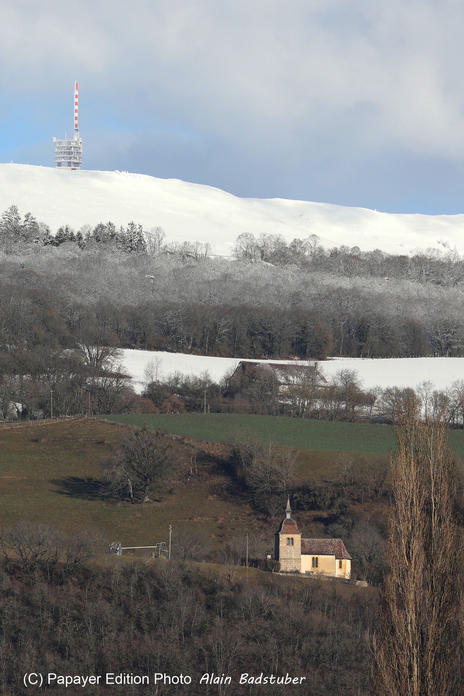 Faune et Flore de Suisse, 2022