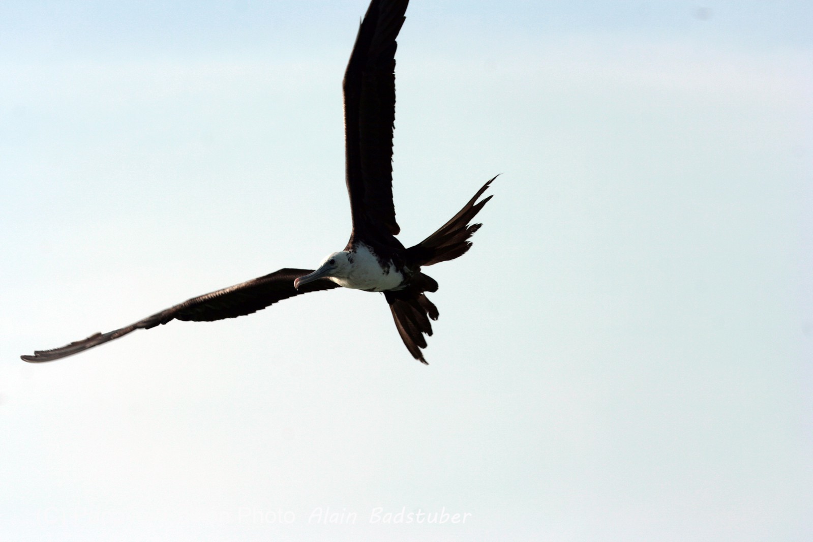 Images_Belize_2011_415