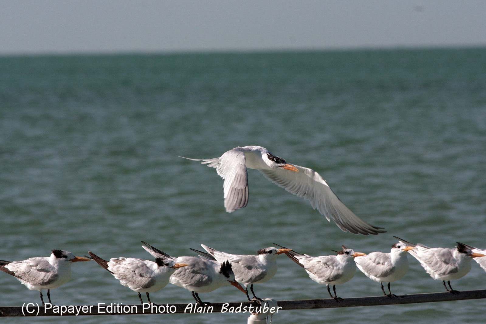 Images_Belize_2011_375