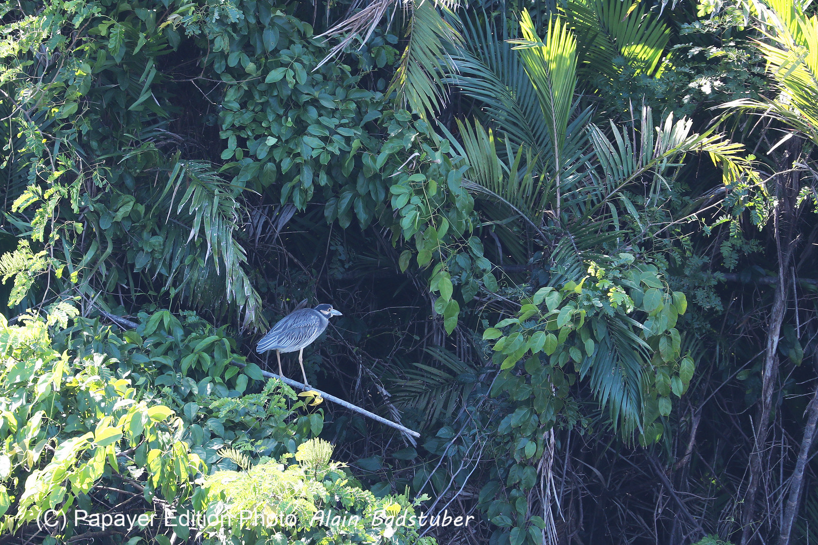 Hopkins, Octobre-Novembre 2021